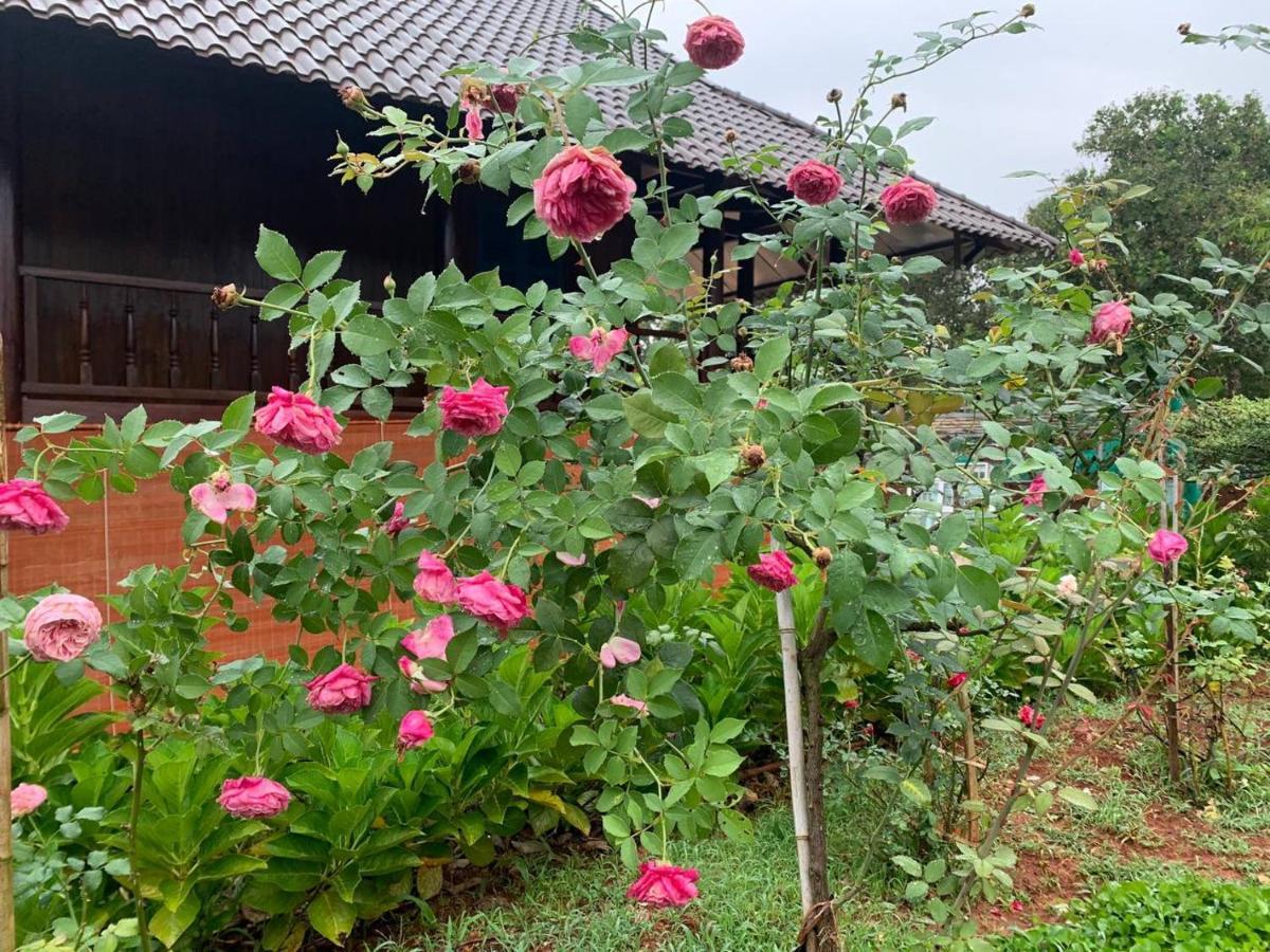 Phuong Nam Gia Trang Farmstay Gia Nghia Extérieur photo